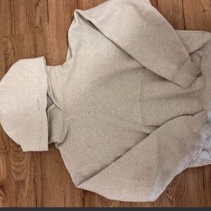 Grey aritzia hoodie